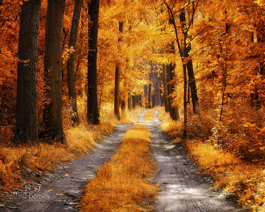 The golden path