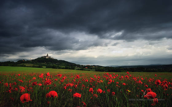 The Reddening Pannonia