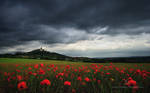 The Reddening Pannonia by markborbely