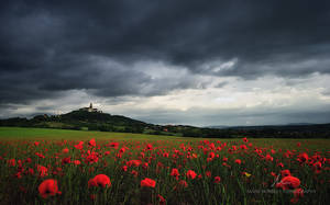 The Reddening Pannonia by markborbely