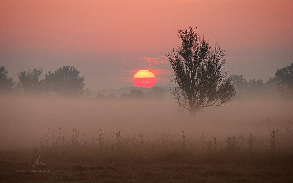 Rise Again: The Red Sun