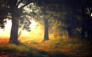 Delightful Dream by markborbely Delightful Dream by markborbely