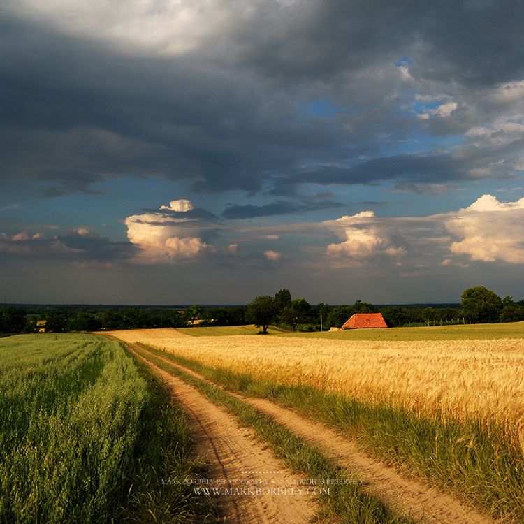 Summer feeling