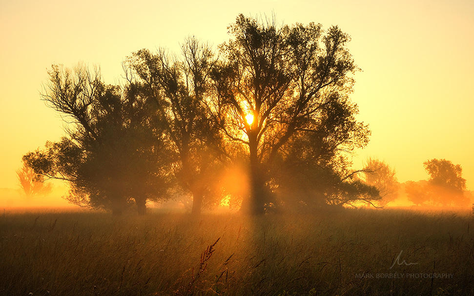 Awakening by markborbely