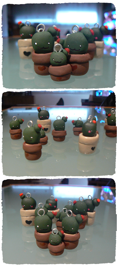 cactus family 4