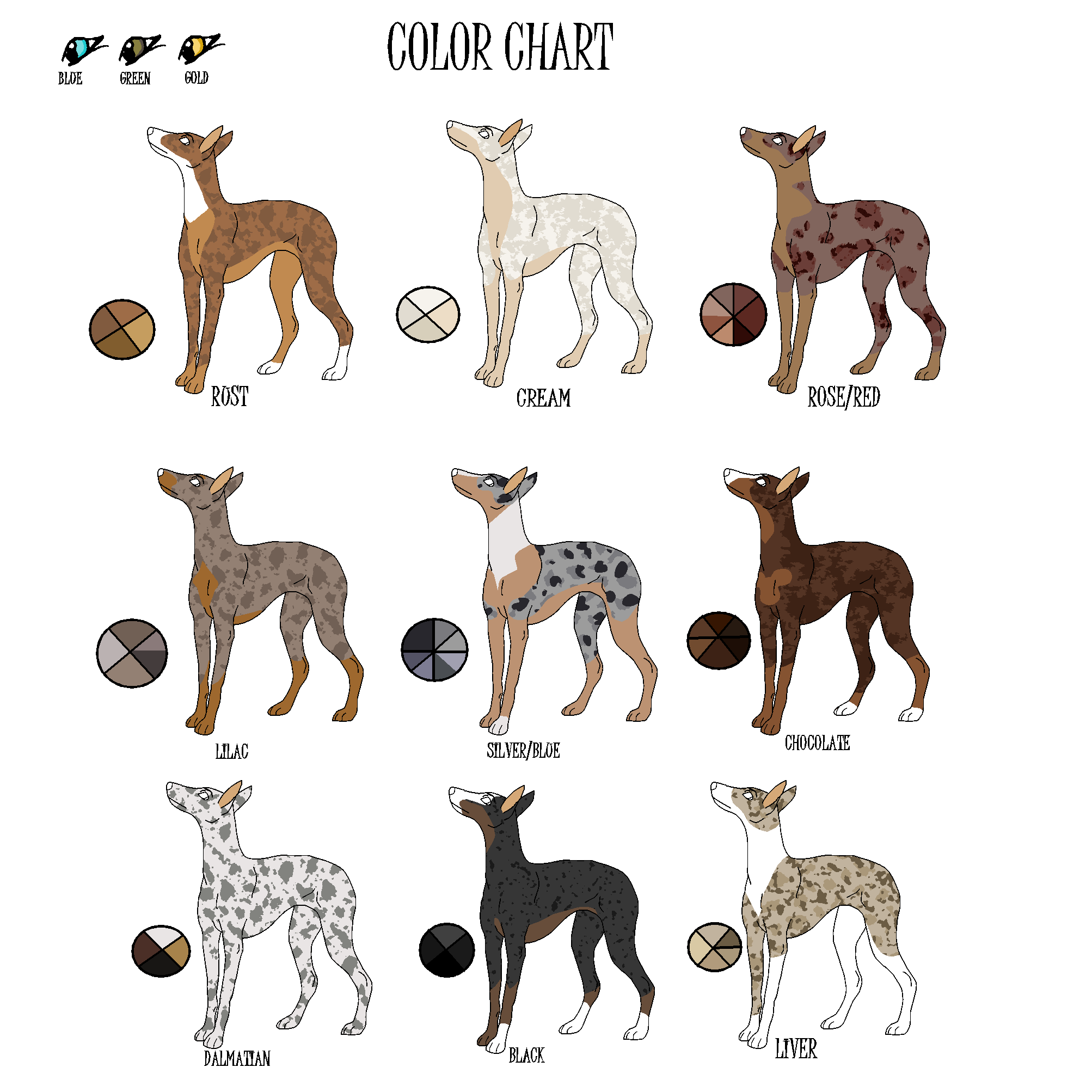 Catahoula size chart hotsell