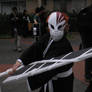 Ichigo Hollow