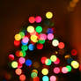 Bokeh Tree