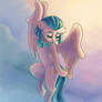 Fly of Somnambula