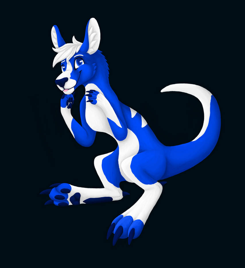 Pocari Roo Characters Pocari Roo by BelieveInShadows on DeviantArt