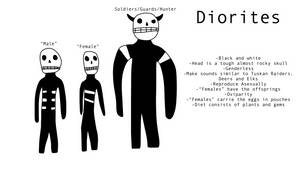 Race concept: Diorites