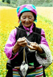 Spinning Wool, Tibet