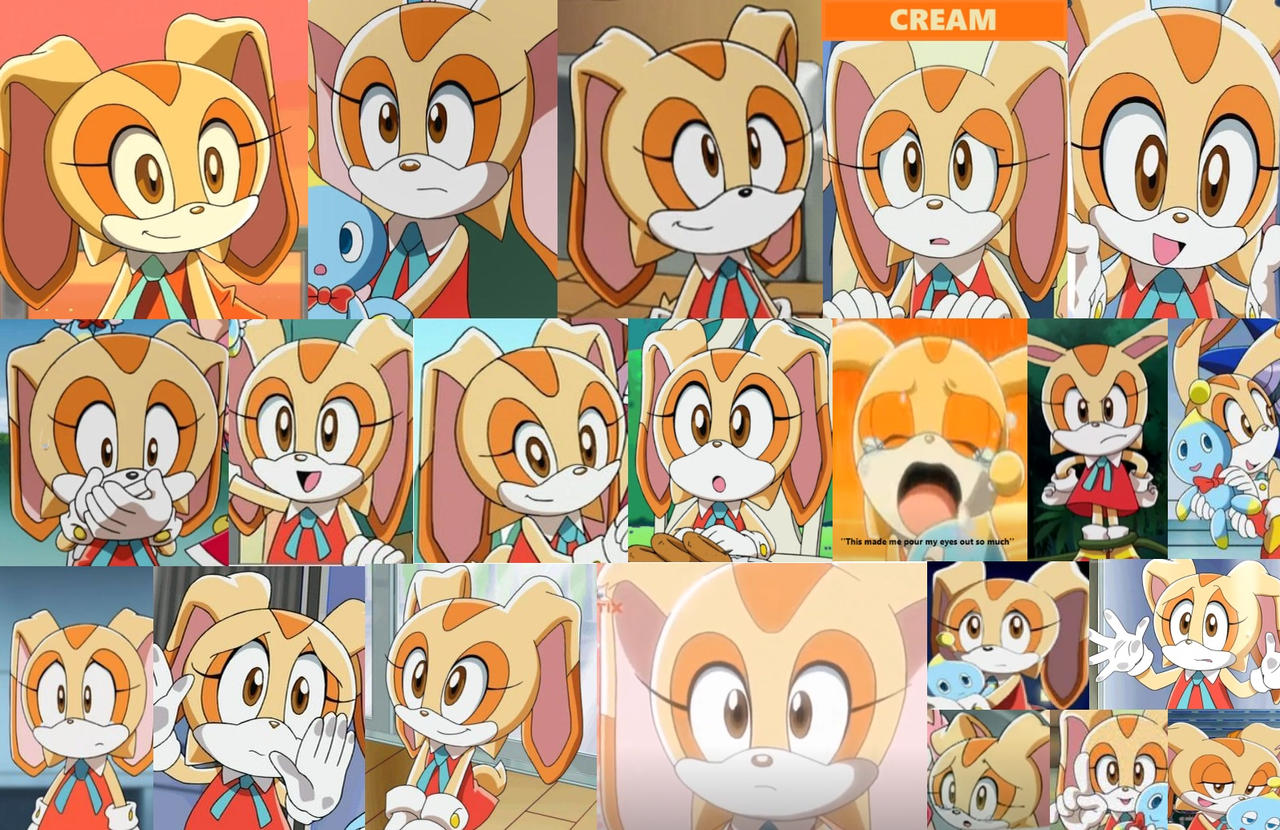 Cream The Rabbit Collage (Sonic X) by MrTrains96 on DeviantArt