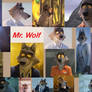 Mr Wolf Collage