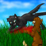 Tigerstar's Death -Redo-