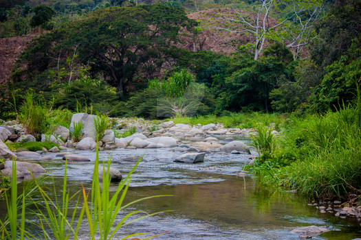 Stream in Colombia
