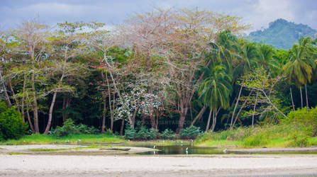 Gairaca, Colombia