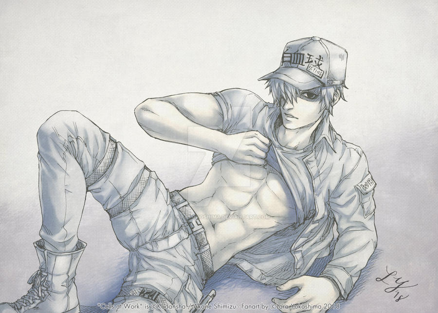 Looking Good Mr White Blood Cell By Larayokoshima On Deviantart Looking Good Mr White Blood Cell By Larayokoshima On Deviantart