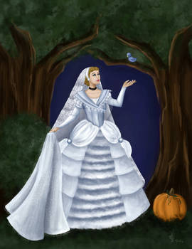 Wedding Dress: Cinderella