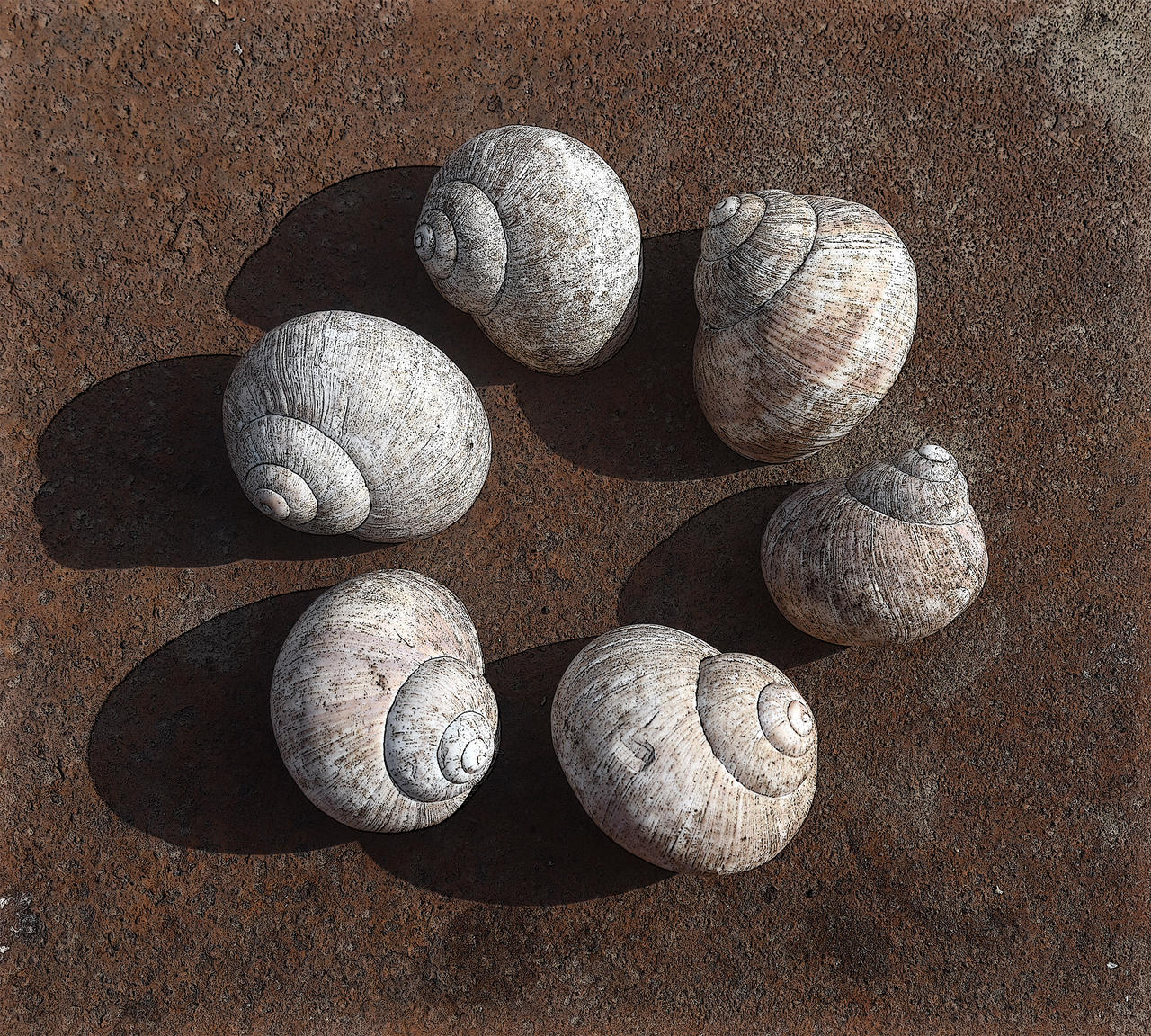 Rusty Snail Shells by sandor79 on DeviantArt