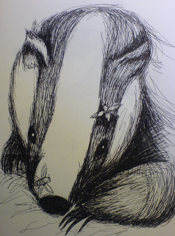 Badger with wasps