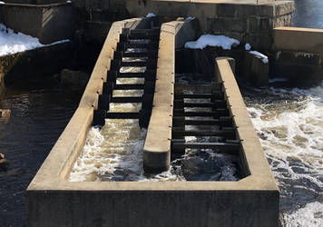 Fish Ladder with Cropping