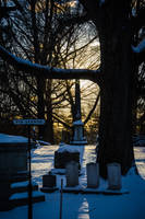 Mount Auburn Cemetery IV