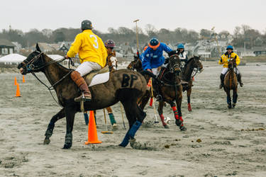 Polo at the Beach