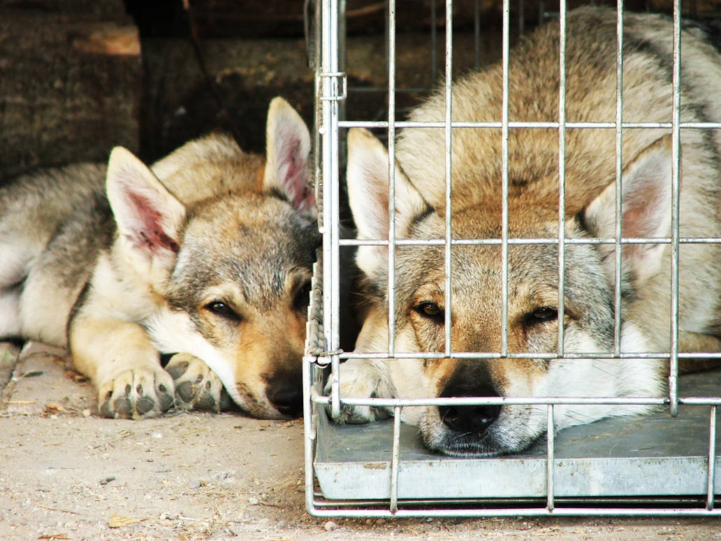 Separation by NannyDoss on DeviantArt