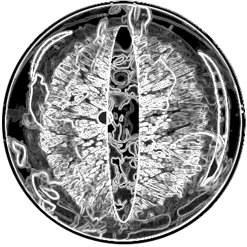 Dragon eye w effects 1