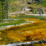 Yellowstone Spring