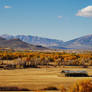 Golden Valley