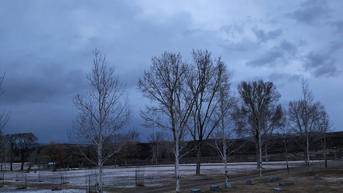 Cold In April Late April Cold by PrRailgun on DeviantArt