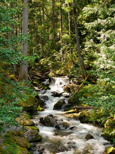 Green Creek
