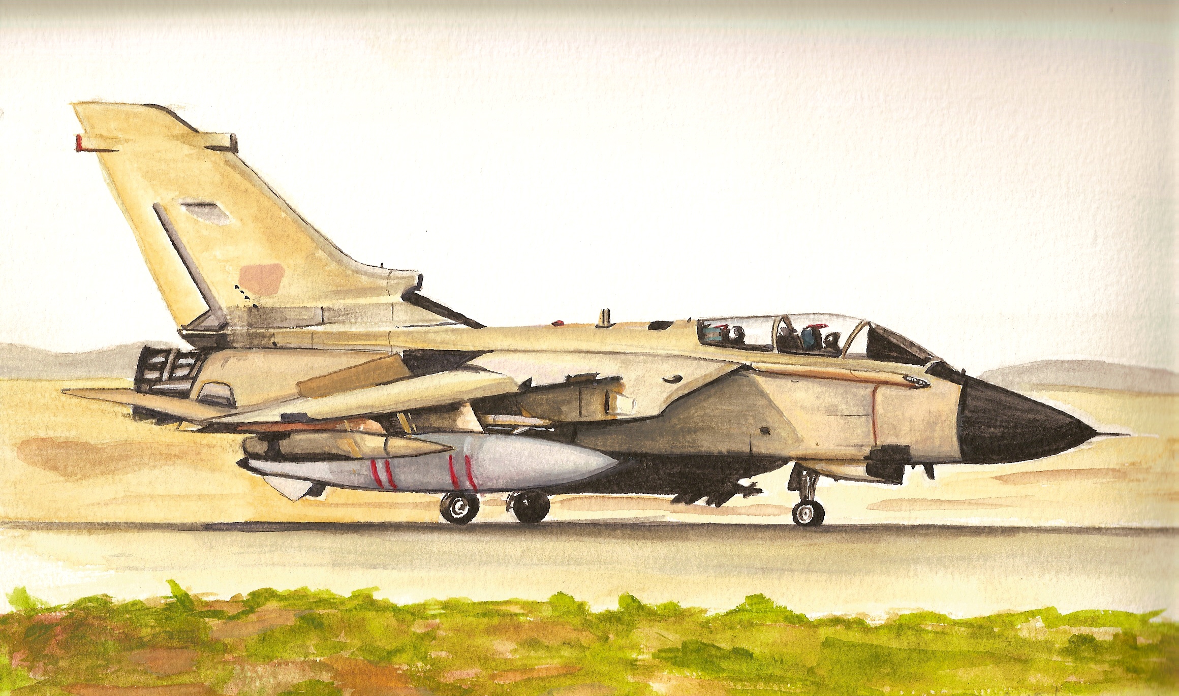 British fighter jet gulf war