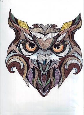 owl