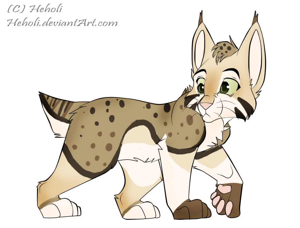 Lynx Adoptable