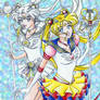 Eternal Sailor Moon and Cosmos