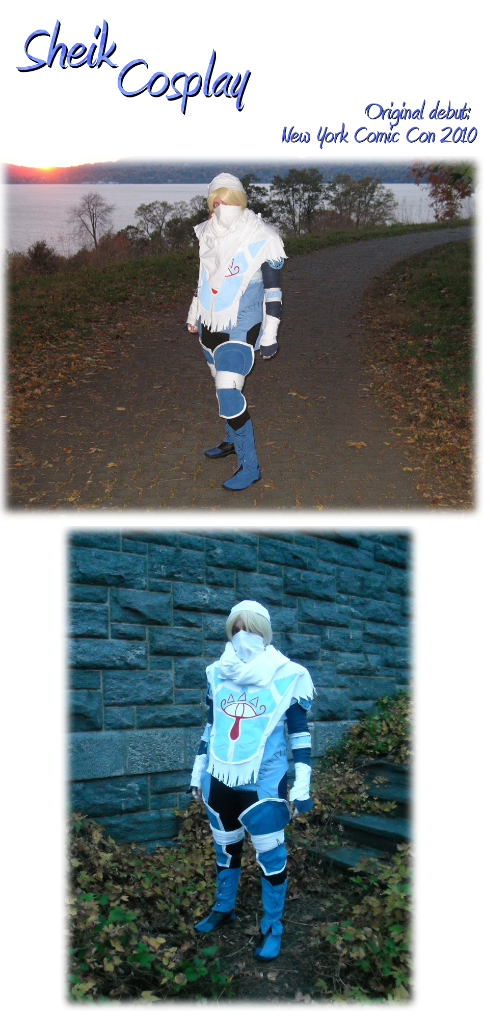 Brawl Sheik Cosplay