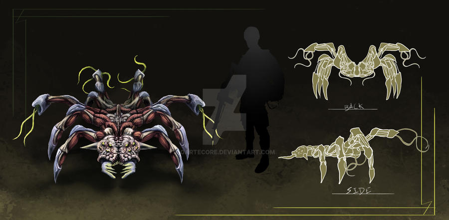 Spider Creature Concept Art by OArtecore on DeviantArt