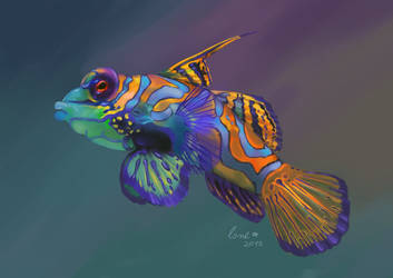 Mandarinfish