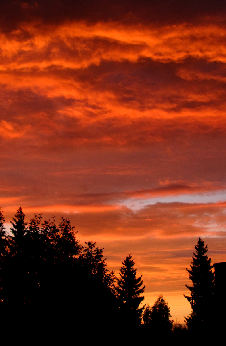 Fiery August Sky