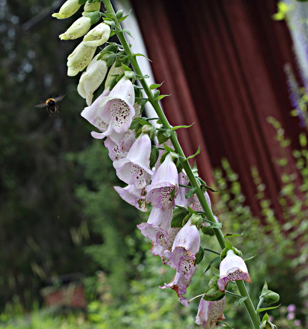 approaching target by Daghrgenzeen on DeviantArt