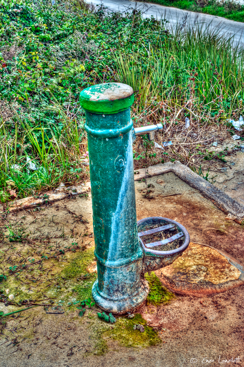 Winter Wild Sea Fountain