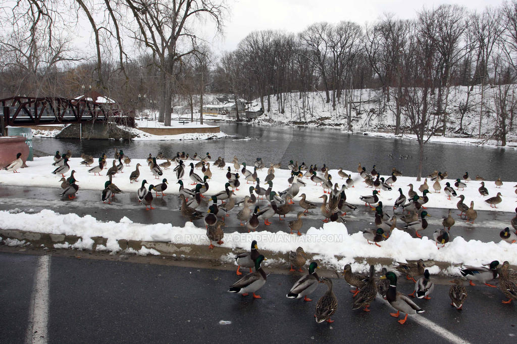 Grand Ledge Island Park by rwschrader on DeviantArt