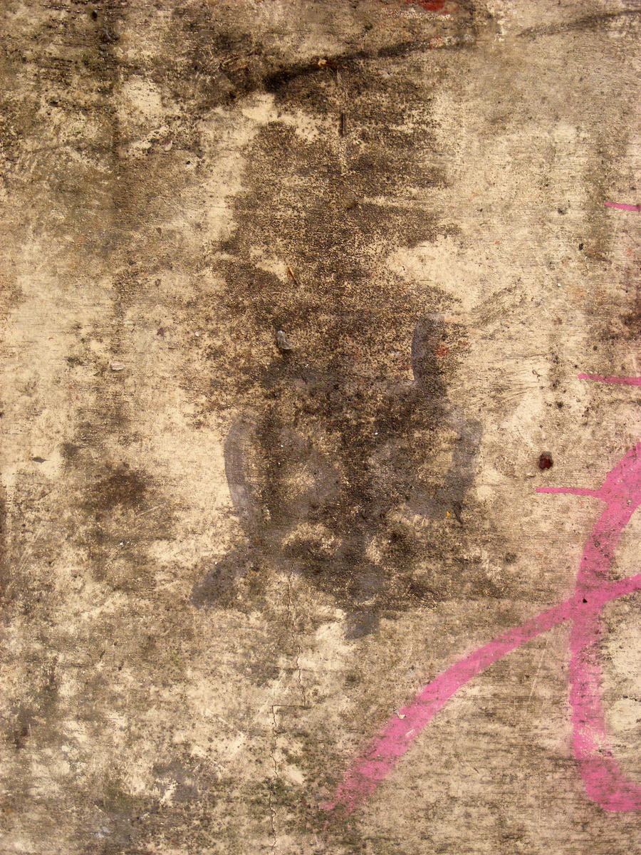 Fossil