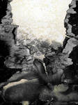 Abalone by pendlestock