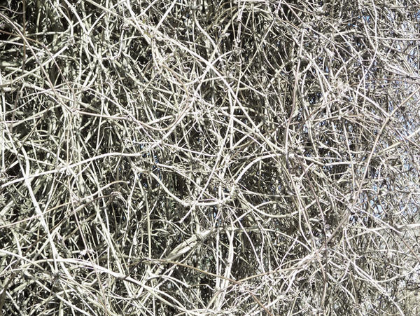 Tangle by pendlestock