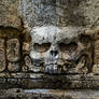 Maya skull