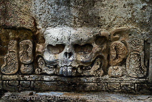 Maya skull